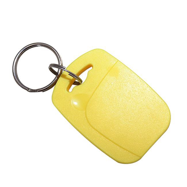Dual Frequency RFID Key Fob 125Khz